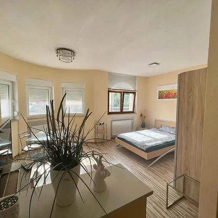 Homestay 1 Raumwohnung Fur 2 Gaste Wehr (Baden-Wurttemberg)