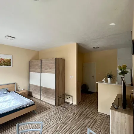 1 Raumwohnung Fuer 2 Gaeste Hotel